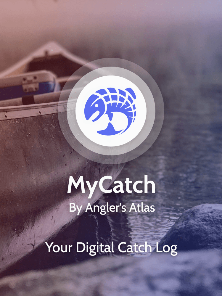 MyCatch App